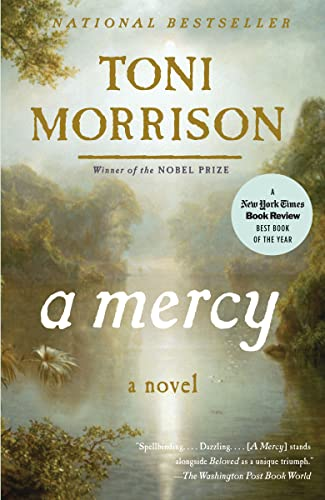 Capa do livro A Mercy