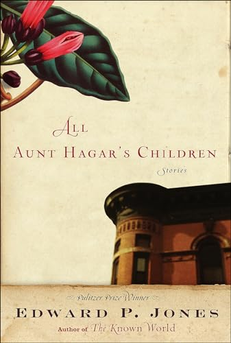 Capa do livro All Aunt Hagar's Children