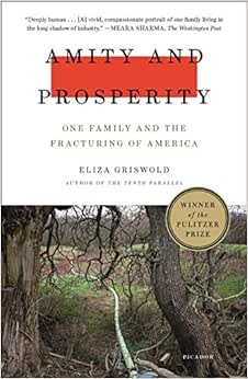 Capa do livro Amity and Prosperity: One Family and the Fracturing of America