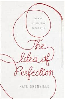 Capa do livro The Idea of Perfection