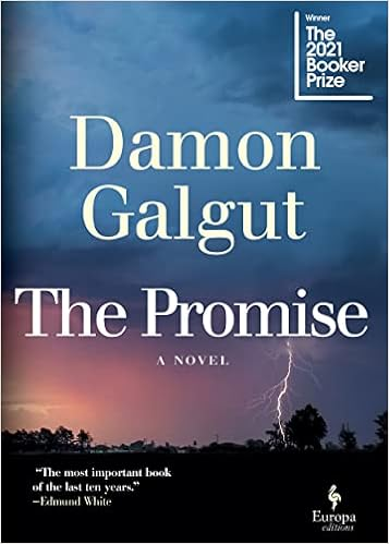 Capa do livro The Promise: 